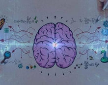 Load image into Gallery viewer, Scratch Training