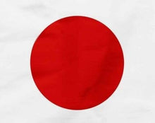 Görseli Galeri görüntüleyiciye yükleyin, Japonca Eğitimi