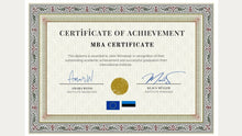 Load image into Gallery viewer, Mini MBA
